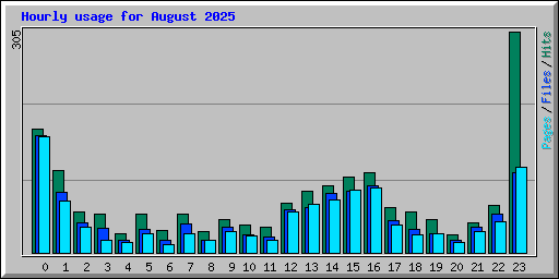 Hourly usage for August 2025