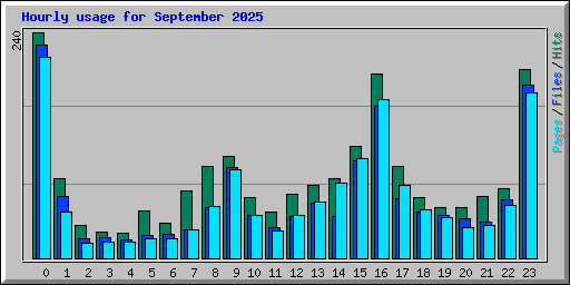Hourly usage for September 2025
