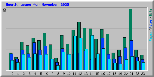 Hourly usage for November 2025