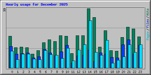 Hourly usage for December 2025