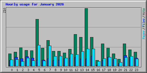 Hourly usage for January 2026