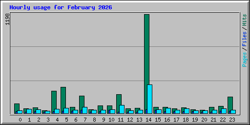 Hourly usage for February 2026