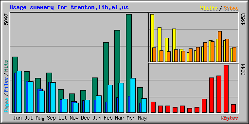 Usage summary for trenton.lib.mi.us